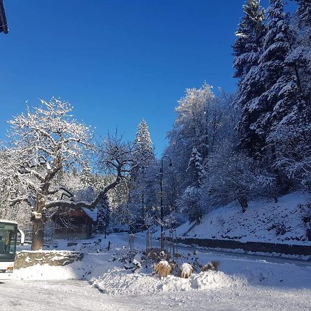 Sloneczna Hotel Miedzygorze Buitenkant foto